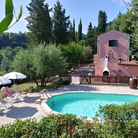 Podere Il Leccione Palaia Bagian luar foto