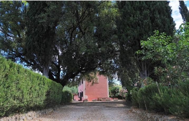 Podere Il Leccione Palaia Bagian luar foto