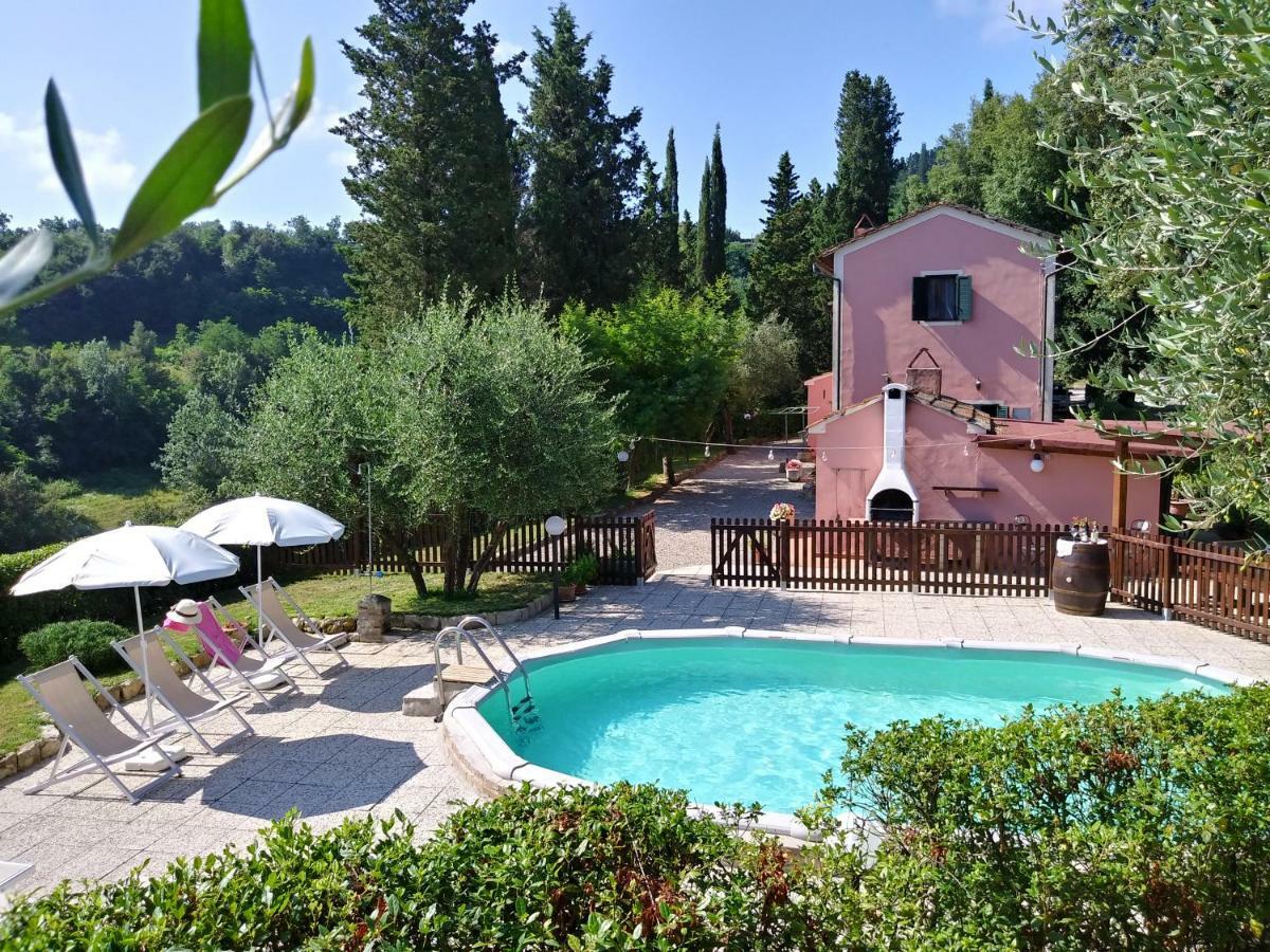 Podere Il Leccione Palaia Bagian luar foto