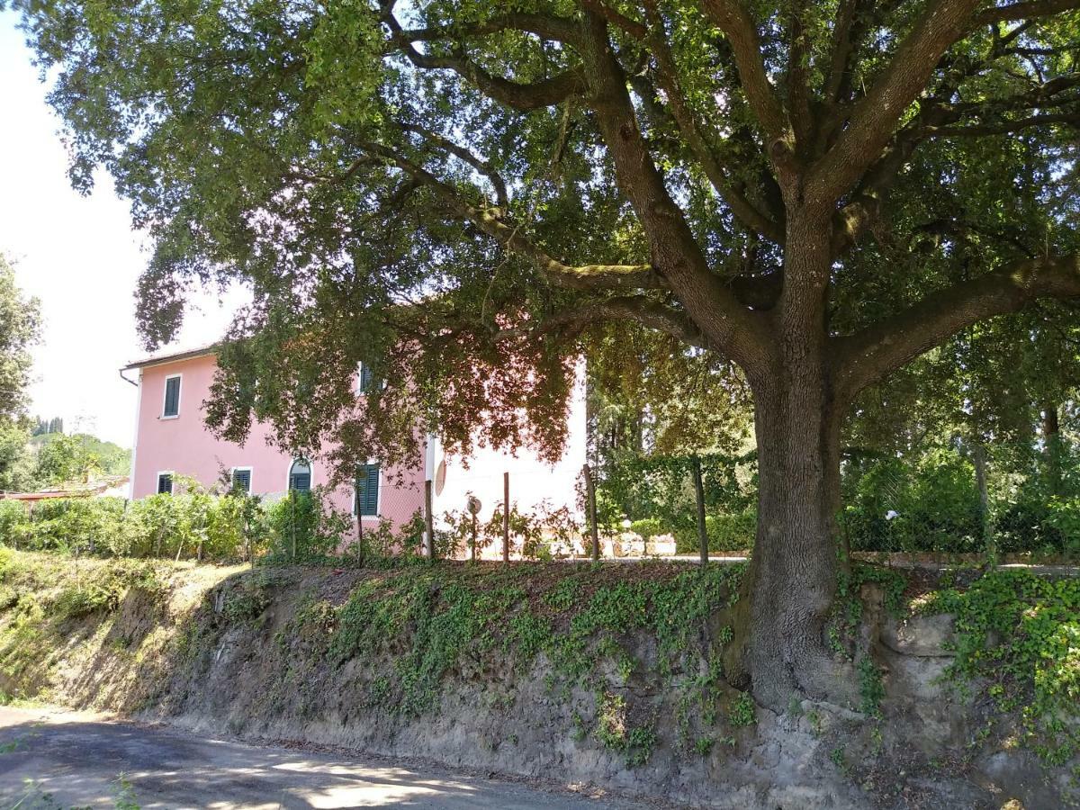 Podere Il Leccione Palaia Bagian luar foto