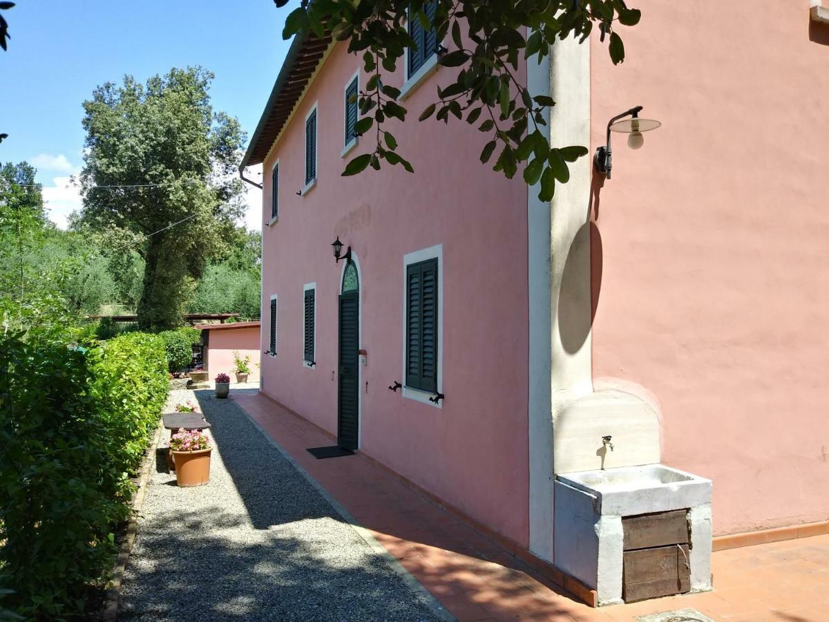 Podere Il Leccione Palaia Bagian luar foto